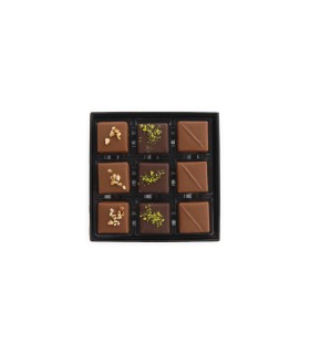 Cremini - Box da 9pz