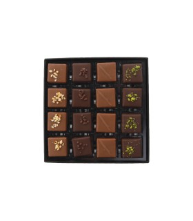 Cremini - Box da 16pz