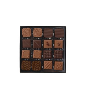 Orizzonti - Box da 16pz