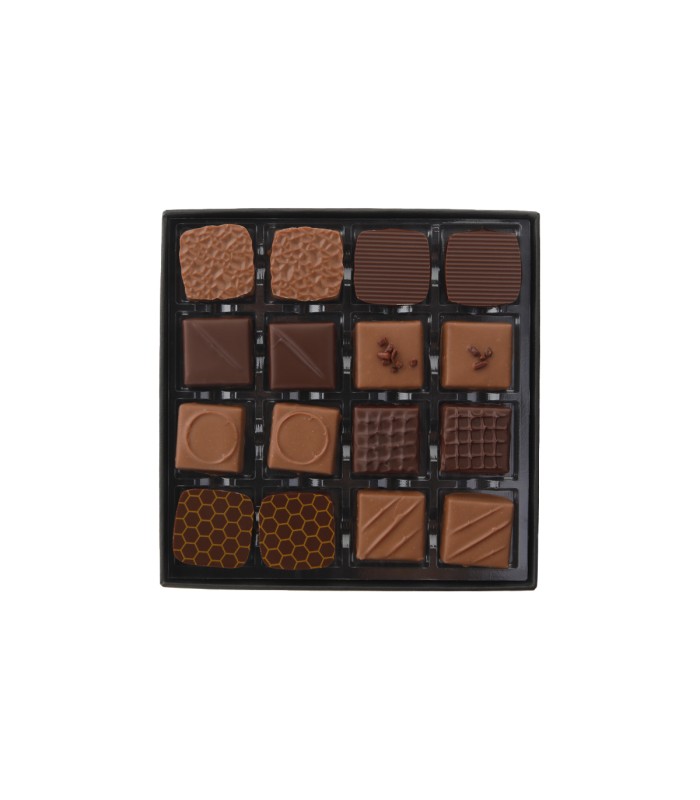 Orizzonti - Box da 16pz