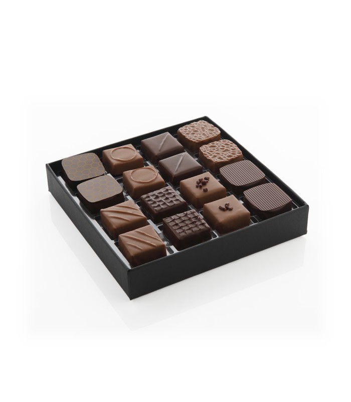 Orizzonti - Box da 16pz